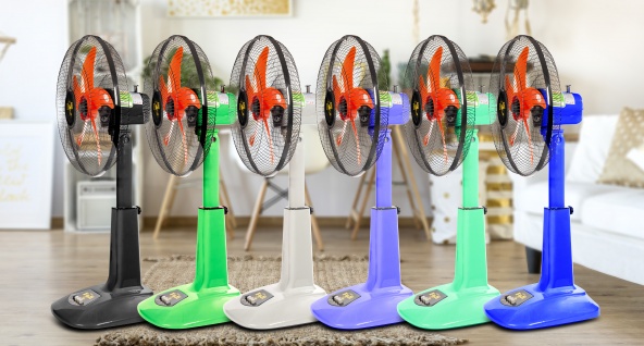 MẪU MÃ ĐA DẠNG